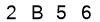 salt-48FB8BB1