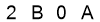 salt-579556B0