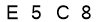 salt-551506E7