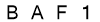salt-C5B23ABD